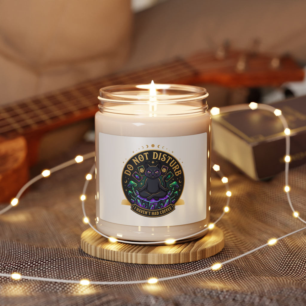 Do Not Disturb Black Cat Candle, Witchy Goblincore Scented Soy Candle