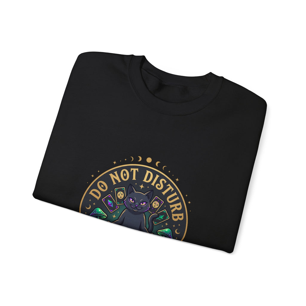 Do Not Disturb Cat Crewneck Sweatshirt | witchy goblincore, chaos energy