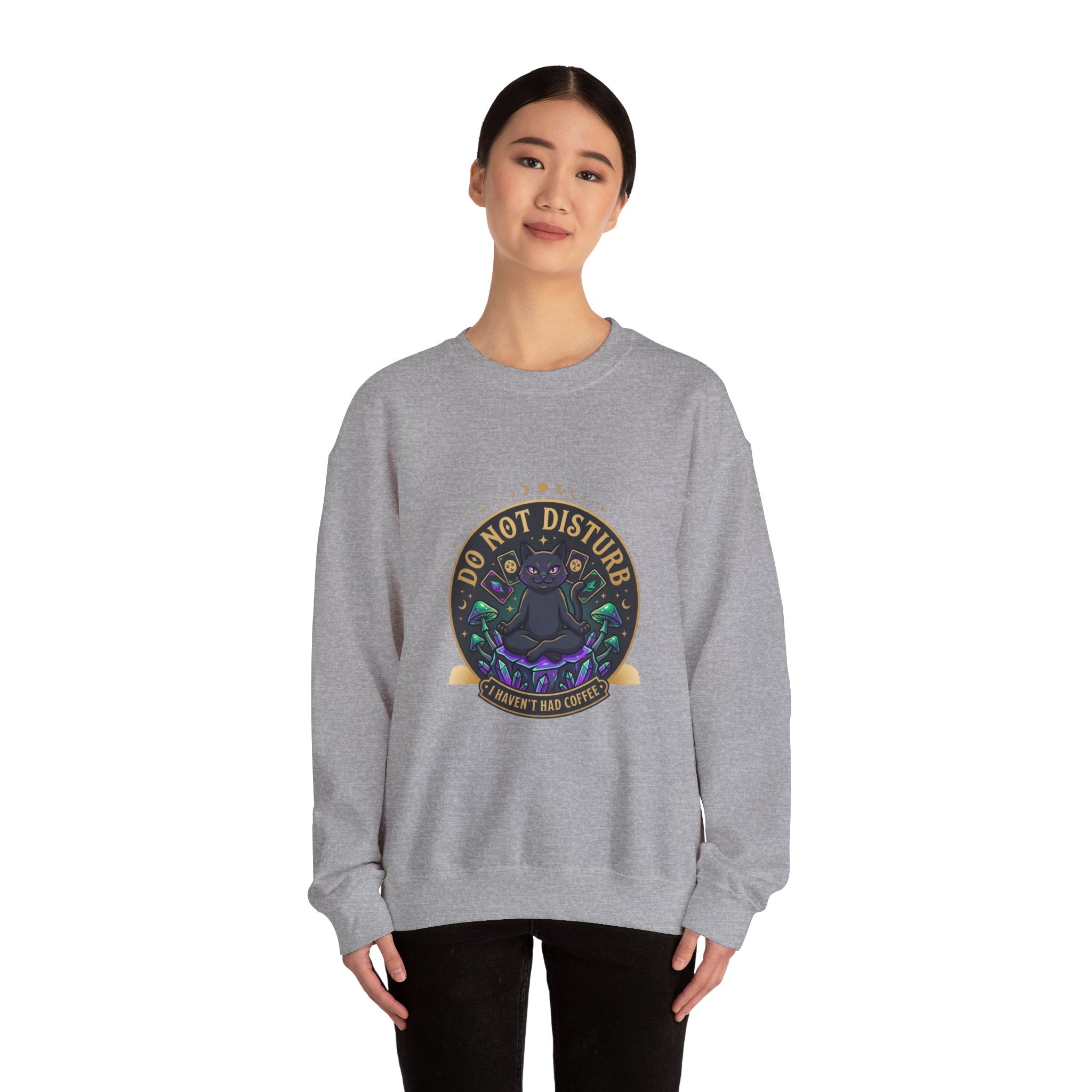 Do Not Disturb Cat Crewneck Sweatshirt | witchy goblincore, chaos energy