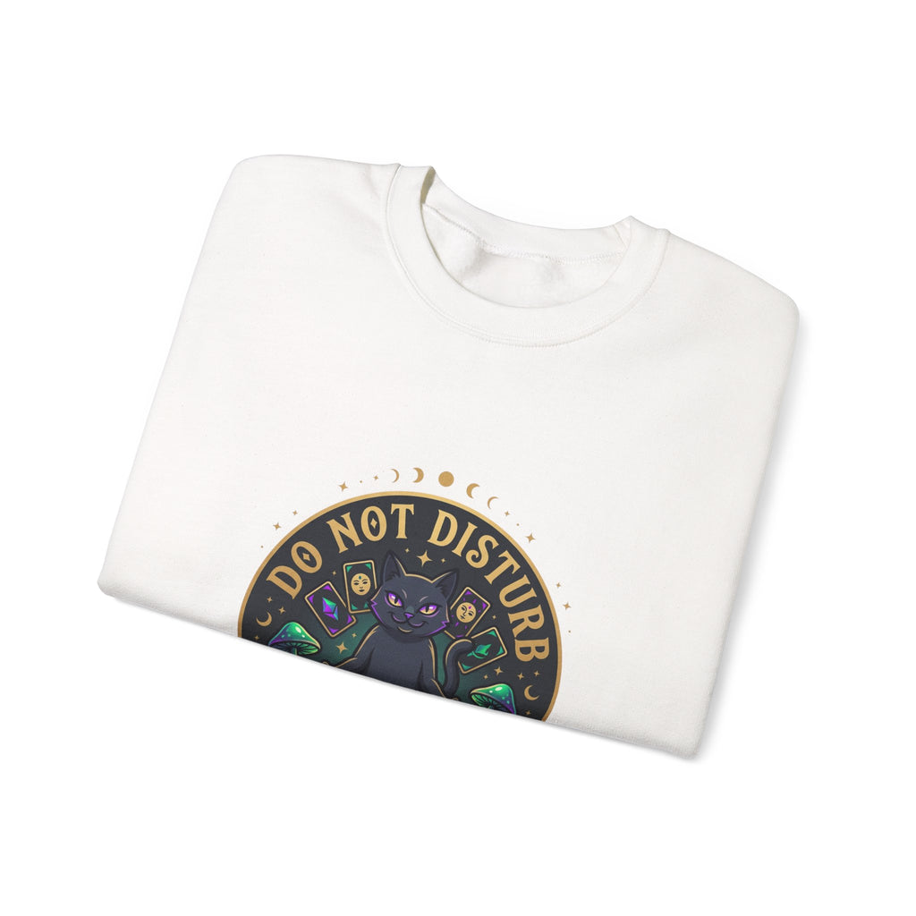 Do Not Disturb Cat Crewneck Sweatshirt | witchy goblincore, chaos energy