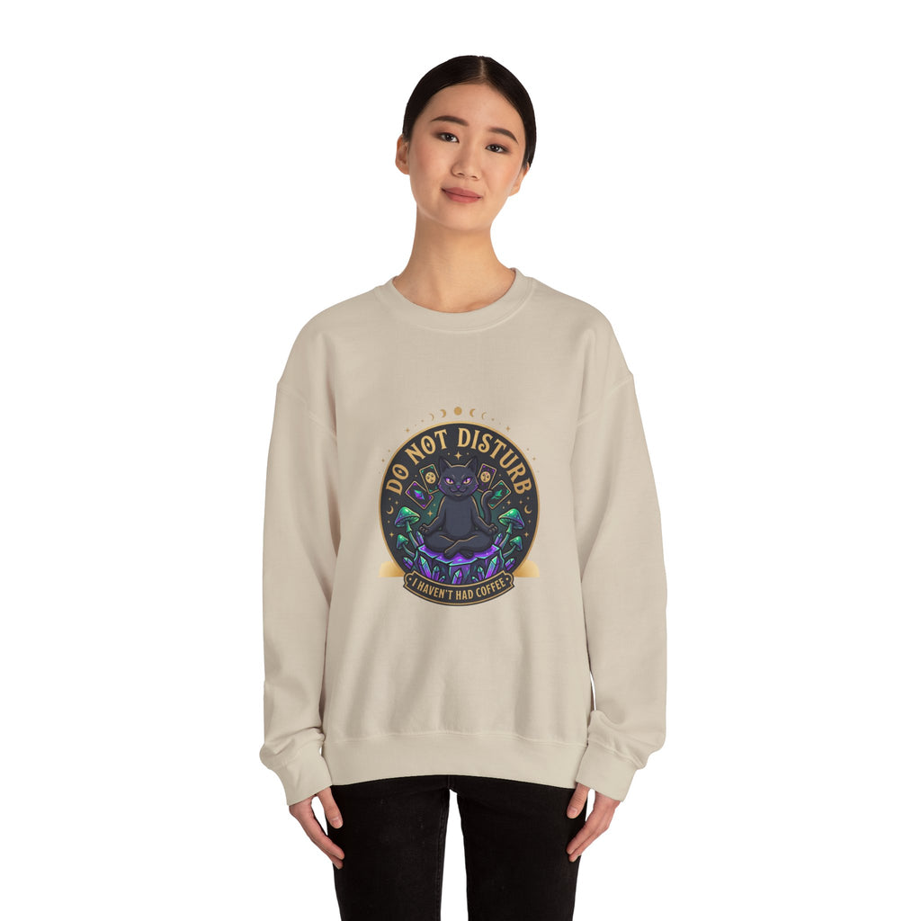 Do Not Disturb Cat Crewneck Sweatshirt | witchy goblincore, chaos energy