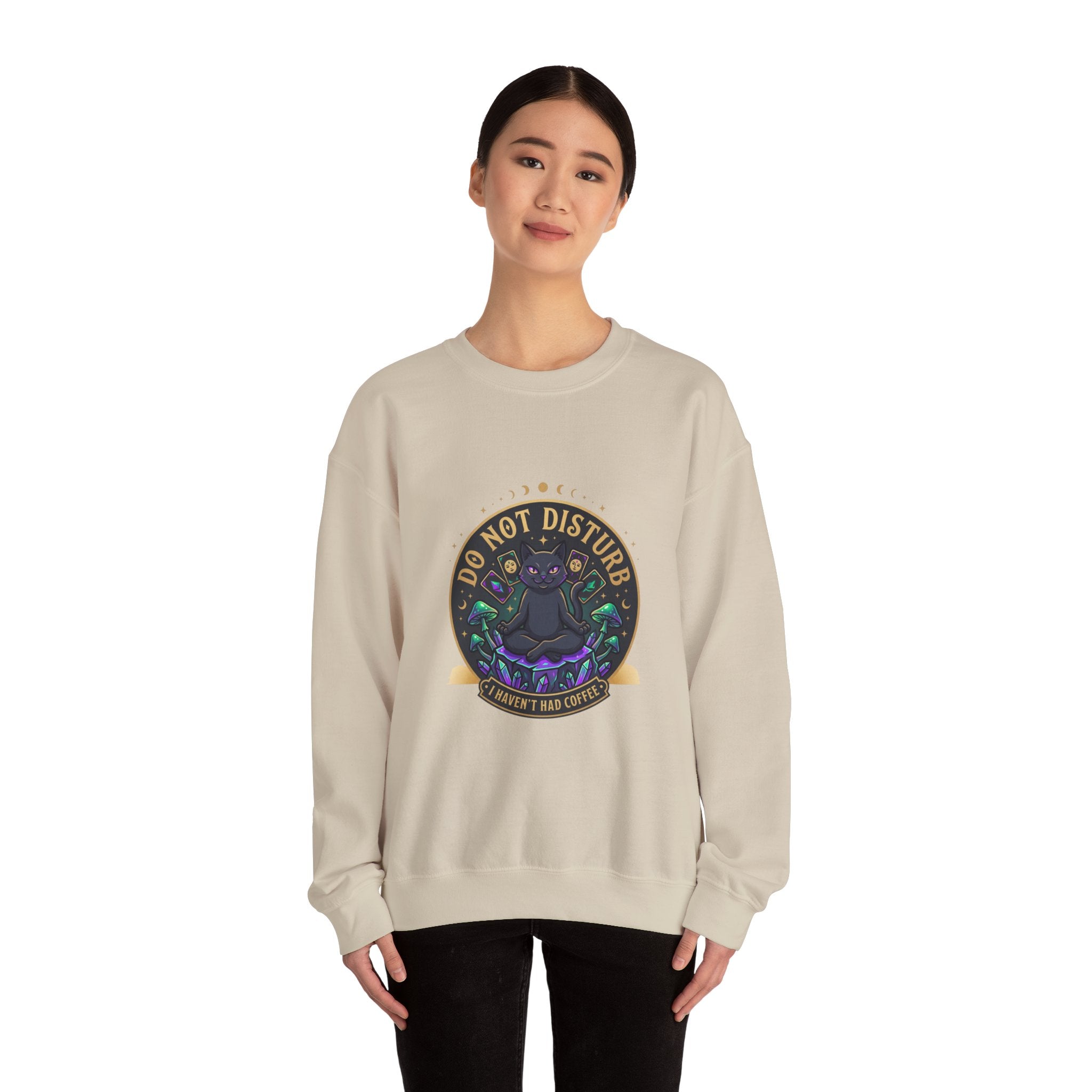 Do Not Disturb Cat Crewneck Sweatshirt | witchy goblincore, chaos energy