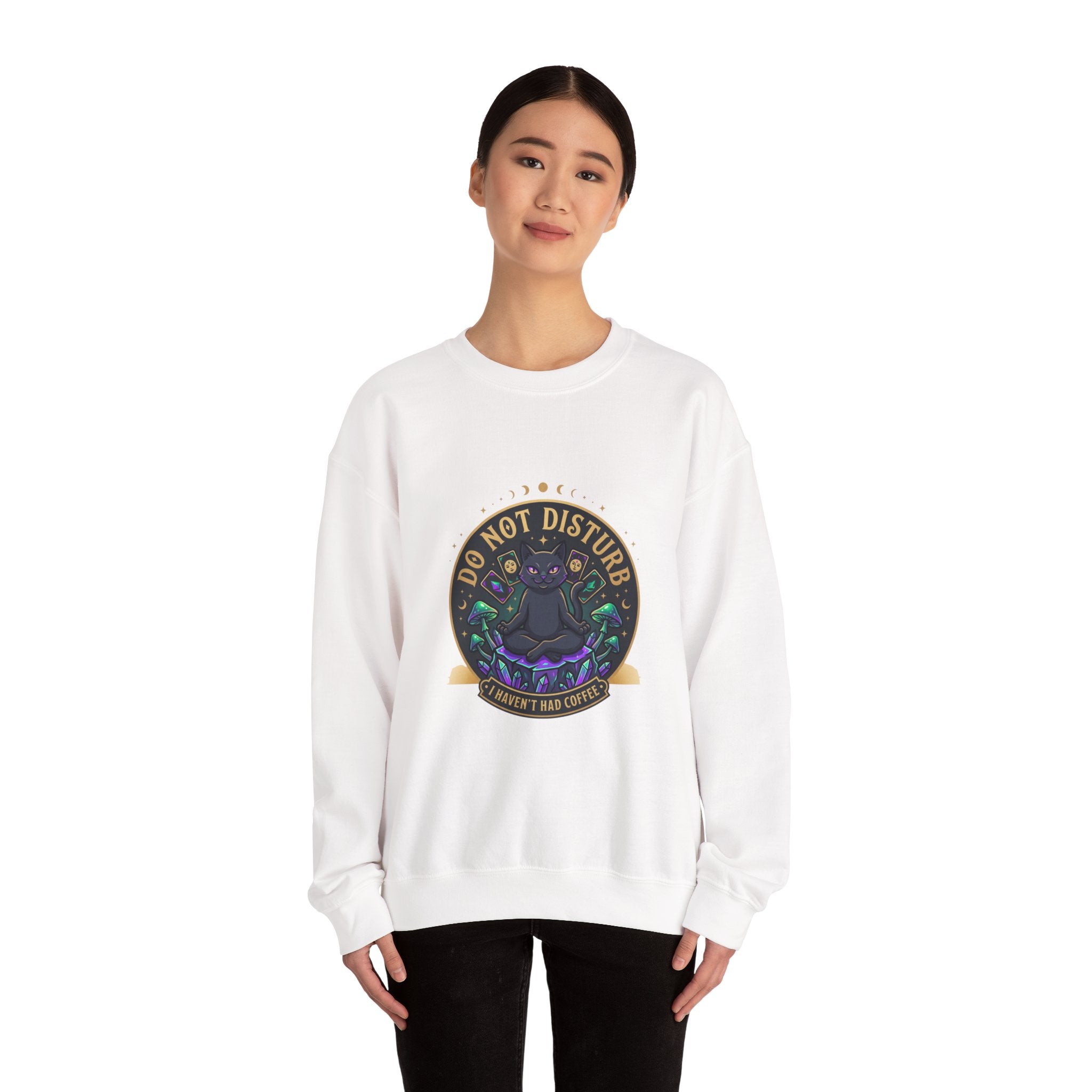 Do Not Disturb Cat Crewneck Sweatshirt | witchy goblincore, chaos energy