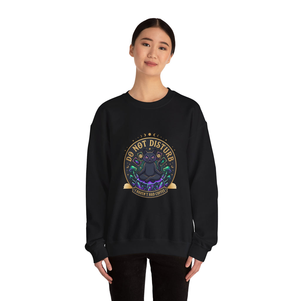 Do Not Disturb Cat Crewneck Sweatshirt | witchy goblincore, chaos energy