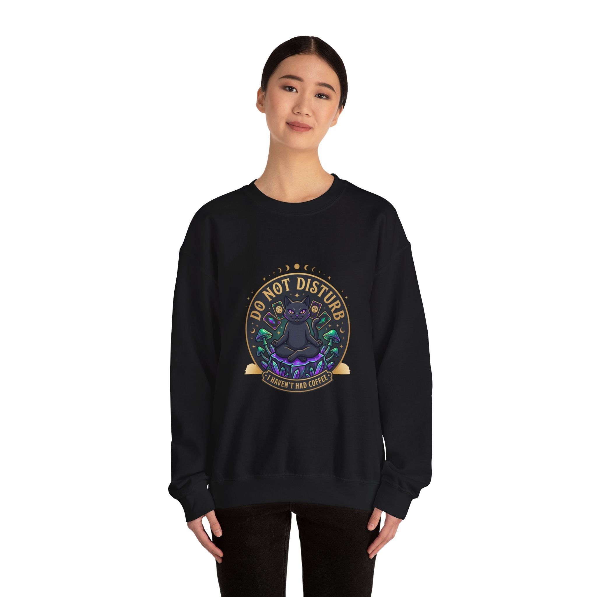 Do Not Disturb Cat Crewneck Sweatshirt | witchy goblincore, chaos energy