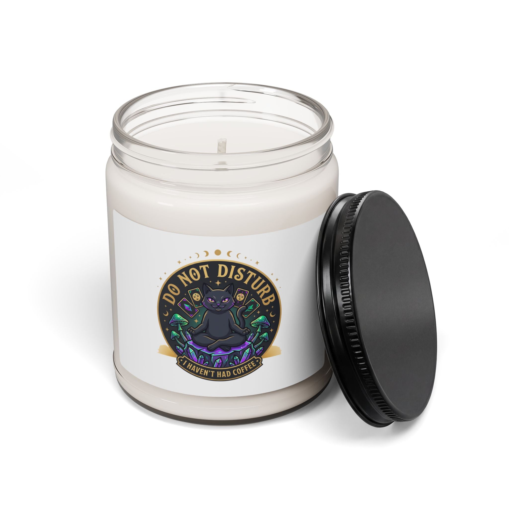 Do Not Disturb Black Cat Candle, Witchy Goblincore Scented Soy Candle