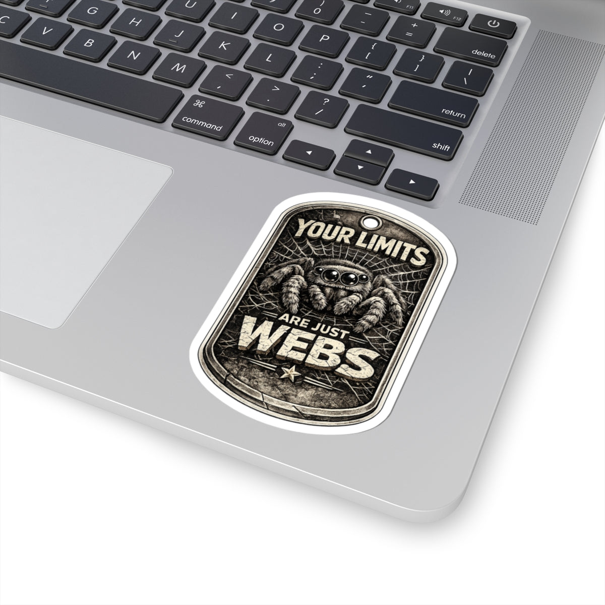Kiss-Cut Sticker standard edition — 'Your Limits Are Just Webs' Spider Motivational Decal